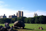 New York Central Park 2